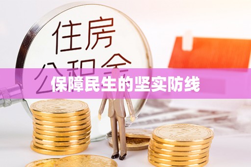 宜昌保障民生的坚实防线