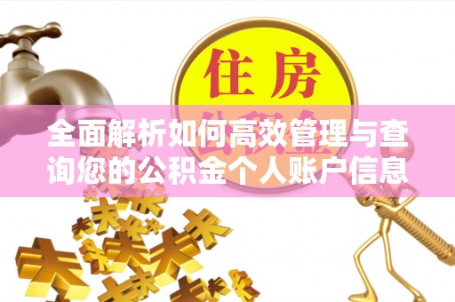 宜昌全面解析如何高效管理与查询您的公积金个人账户信息