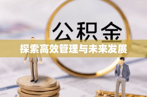 宜昌探索高效管理与未来发展